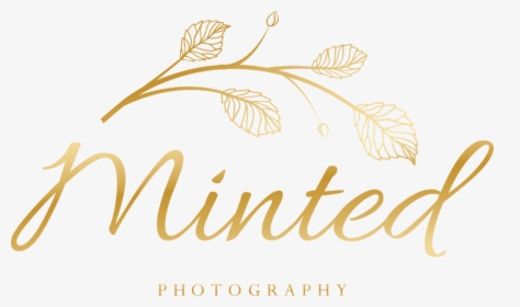 Calligraphy, HD Png Download, Transparent PNG