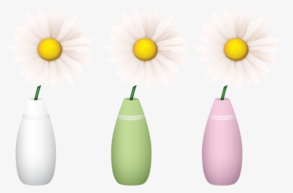 Camomile, HD Png Download, Transparent PNG