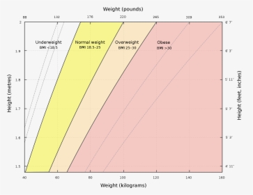 Bmi As A Function Of Height Graph, HD Png Download, Transparent PNG