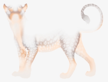 Dog Licks, HD Png Download, Transparent PNG