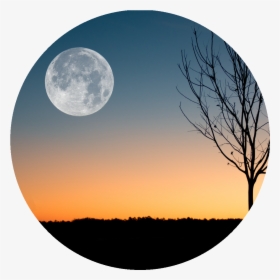 February Full Moon 2019, HD Png Download, Transparent PNG