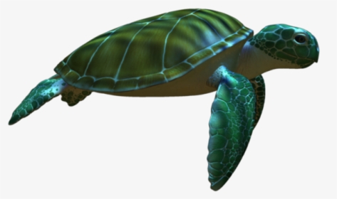 Green Sea Turtle Animation - Cute Turtle Transparent Background, HD Png Download, Transparent PNG
