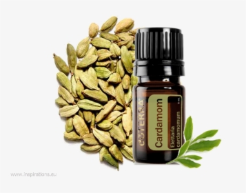 Doterra Cardamom Kardamom - Cardamom Doterra, HD Png Download, Transparent PNG