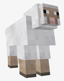 Minecraft Sheep No Background, HD Png Download, Transparent PNG