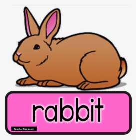 Teacherfiera Com Would Really - Rabbit Clip Art, HD Png Download, Transparent PNG