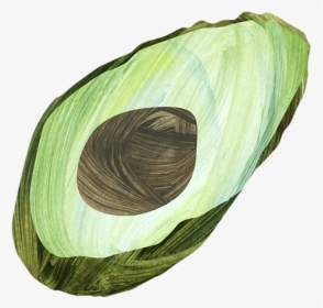 Shell, HD Png Download, Transparent PNG