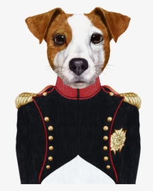 Cow In Military Uniform, HD Png Download, Transparent PNG