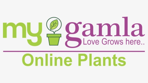 Graphic Design, HD Png Download, Transparent PNG