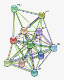 Thdf Protein - Circle, HD Png Download, Transparent PNG