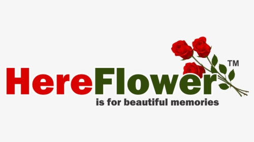 Here Flower - Floribunda, HD Png Download, Transparent PNG
