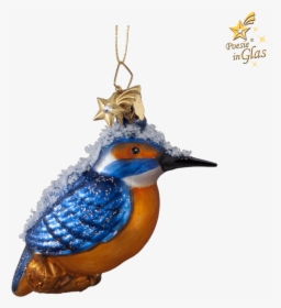 Kingfisher - Common Kingfisher, HD Png Download, Transparent PNG
