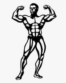 Bodybuilder, Muscle Set Muscle Memberships Jimmy Kimmel - Bodybuilder Clipart, HD Png Download, Transparent PNG