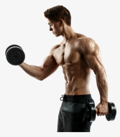 Are All Trainers Certified - Bodybuilding, HD Png Download, Transparent PNG
