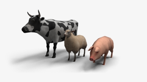 Cattle, HD Png Download, Transparent PNG