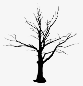 Tree Vector Png Images - Tree Without Leaves Png, Transparent Png, Transparent PNG