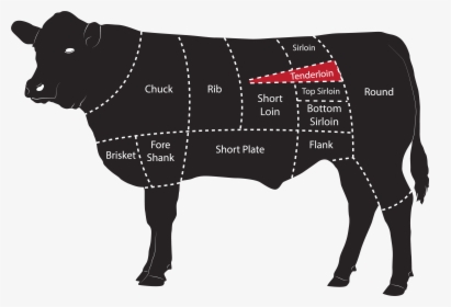 Beef Meat Cuts Tenderloin - Quarter Cut Of Cattle, HD Png Download, Transparent PNG