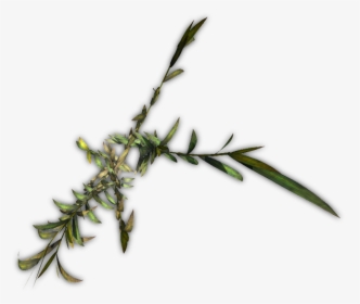 Heath Aster, HD Png Download, Transparent PNG