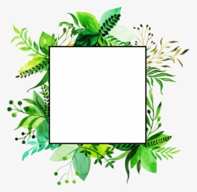 Birthday Frame Green Background, HD Png Download, Transparent PNG