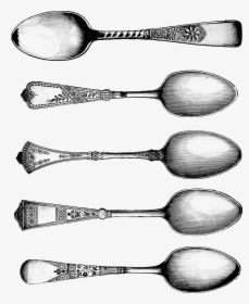 Vector Spoon Fancy - Spoons Clipart, HD Png Download, Transparent PNG