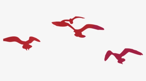 Flying Bird Silhouette Png Download - Illustration, Transparent Png, Transparent PNG