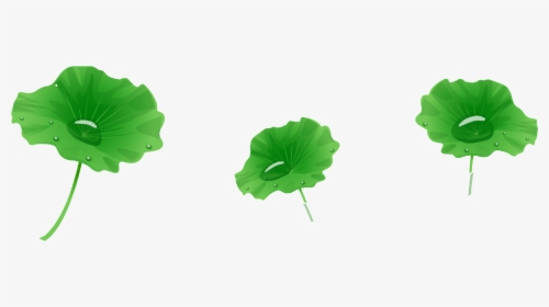 Leaf, HD Png Download, Transparent PNG