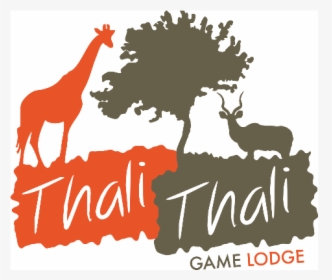 Thali Thali Game Lodge - Thali Thali Resort Logo, HD Png Download, Transparent PNG