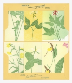 Floral Design, HD Png Download, Transparent PNG
