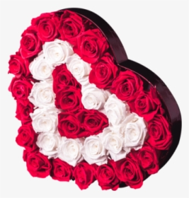 Heart, HD Png Download, Transparent PNG