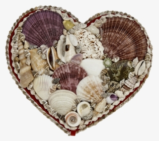Seashell Jewelry Heart Shaped Box - Shell Heart Shaped Box, HD Png Download, Transparent PNG