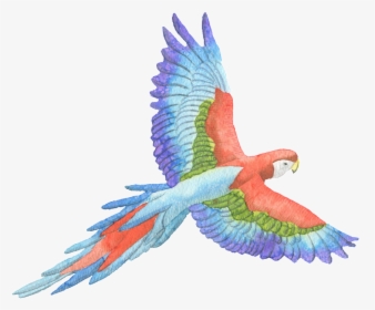 Tricolor Parrot Watercolor Transparent Decorative Pattern - William Blake Zitate, HD Png Download, Transparent PNG