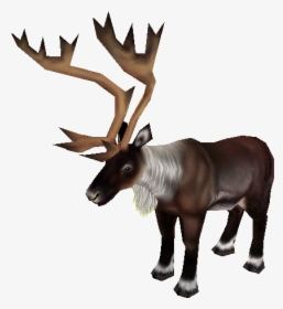 Download Zip Archive - Caribou Zoo Tycoon 2, HD Png Download, Transparent PNG