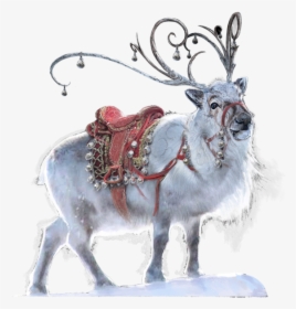 Reindeer, HD Png Download, Transparent PNG