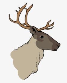 Caribou Figure Cpaws V2 - Elk, HD Png Download, Transparent PNG
