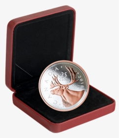 Quarter Transparent Caribou - Gold Coin Box, HD Png Download, Transparent PNG