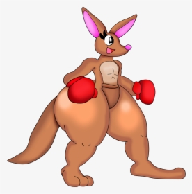 Kangy The Kangaroo - Cartoon, HD Png Download, Transparent PNG