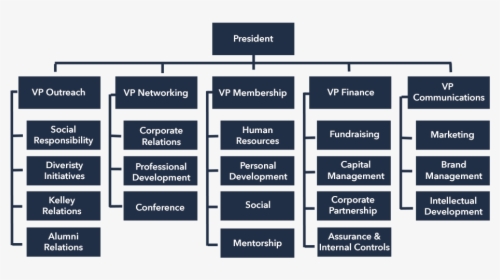 Org-structure - Organization Structure Of Kuwait Airways, HD Png Download, Transparent PNG