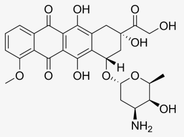 Doxorubicin Chemical Structure - Filgrastim Molecule, HD Png Download, Transparent PNG
