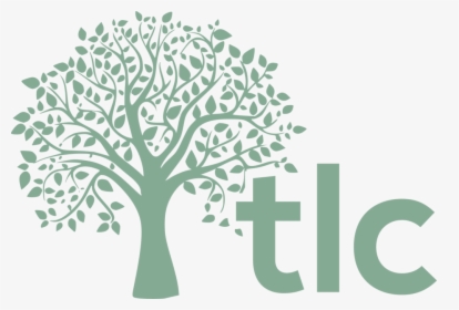 Tlctree1 - Transparent Tree Of Life, HD Png Download, Transparent PNG