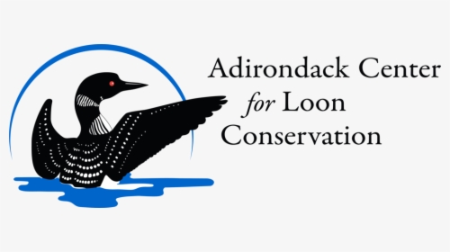 Aclc Logo Bt Right 4 18 - Loon Logo, HD Png Download, Transparent PNG