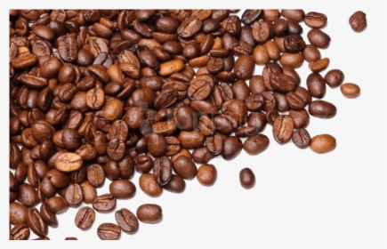 Free Png Download Coffee Beans Png Images Background - Transparent Background Coffee Beans Png, Png Download, Transparent PNG