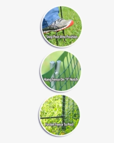 One Step Fencing Features - Temporary Vegetable Garden Fence, HD Png Download, Transparent PNG