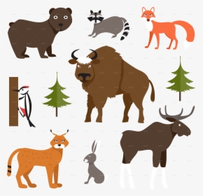 Wild Animals By Artbesouro - Cartoon Forest Animals Png, Transparent Png ,  Transparent Png Image - PNGitem