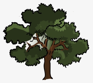 Oak Tree Clip Art - Dark Tree Clipart, HD Png Download, Transparent PNG