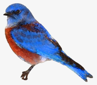 Eastern Bluebird Clip Art - No Background Blue Bird, HD Png Download, Transparent PNG