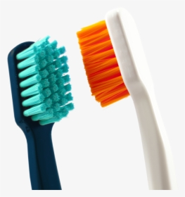 Your Brighter Future Starts Now - Toothbrush, HD Png Download, Transparent PNG