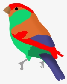 Colorful Bird In Fantasy Colors - Clipart Birds Flying Colorful Bird Transparent, HD Png Download, Transparent PNG
