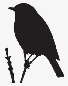 Silhouette Of Blue Bird, HD Png Download, Transparent PNG
