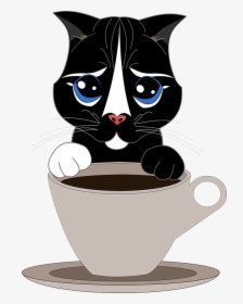 Cat, Pet, Cup, Coffee, Tea, Kitten, Tender, Puppy - Cafe Gato Png, Transparent Png, Transparent PNG