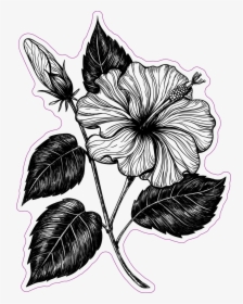 Hawaiian Flower Car Window Decals Stickers Png Hawaiian - Drawings Of Hawaiian Flowers, Transparent Png, Transparent PNG