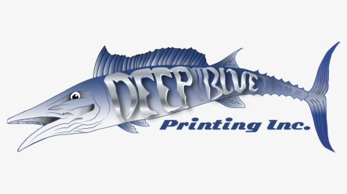 Key West - Pacific Sturgeon, HD Png Download, Transparent PNG